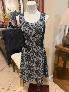 Robbie Bee Black and White dress